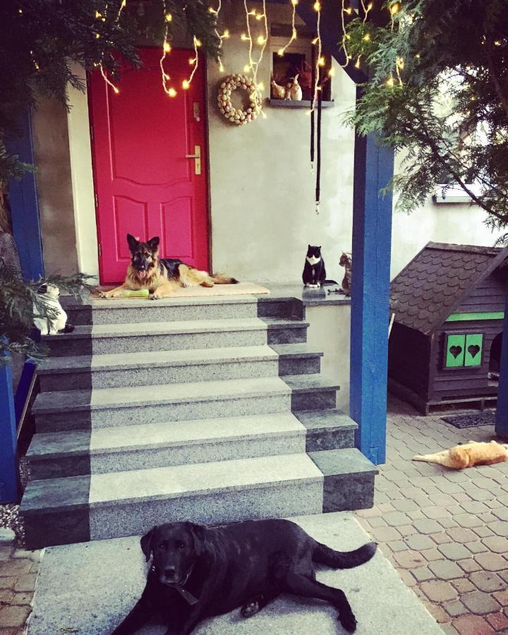 Cat Stone Villa Pisz Eksteriør billede