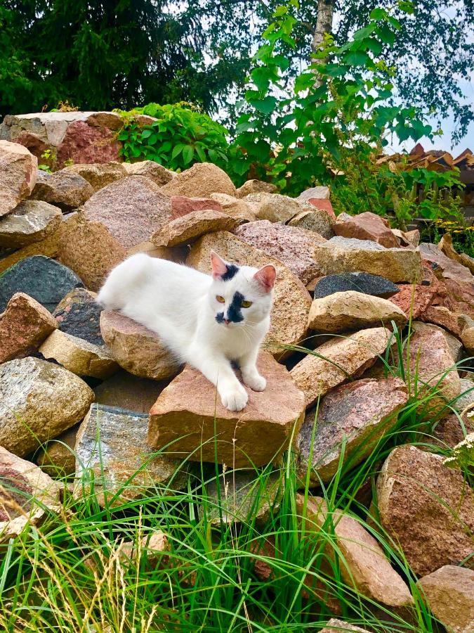 Cat Stone Villa Pisz Eksteriør billede