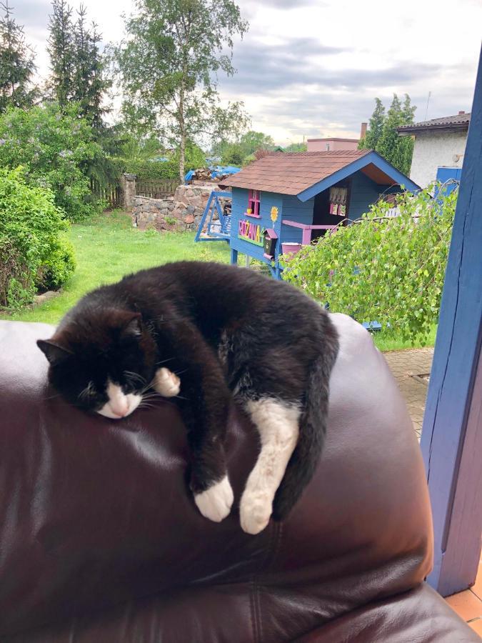 Cat Stone Villa Pisz Eksteriør billede