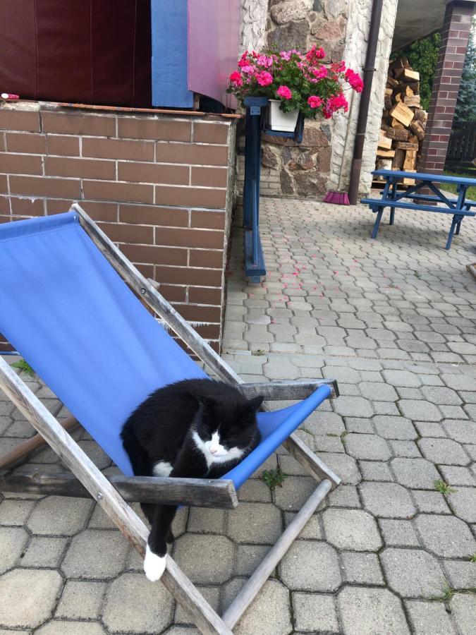 Cat Stone Villa Pisz Eksteriør billede